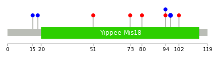 We used uniprot protein structure data from ensemble BioMart database. The size of circle shows the relative mutation number.