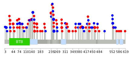 We used uniprot protein structure data from ensemble BioMart database. The size of circle shows the relative mutation number.