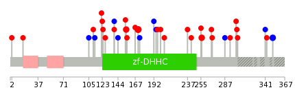 We used uniprot protein structure data from ensemble BioMart database. The size of circle shows the relative mutation number.