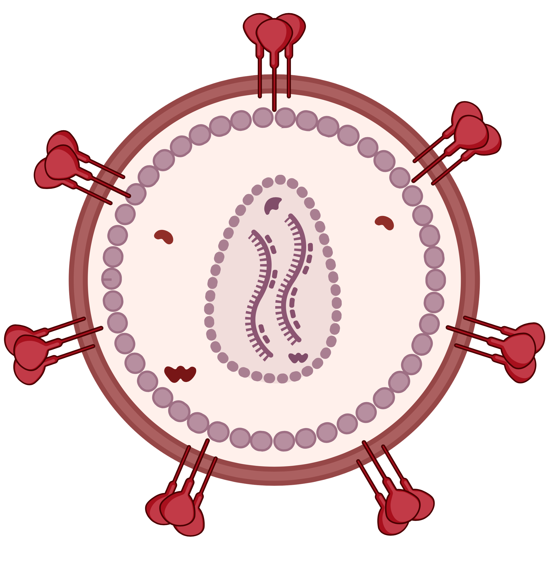 HIV