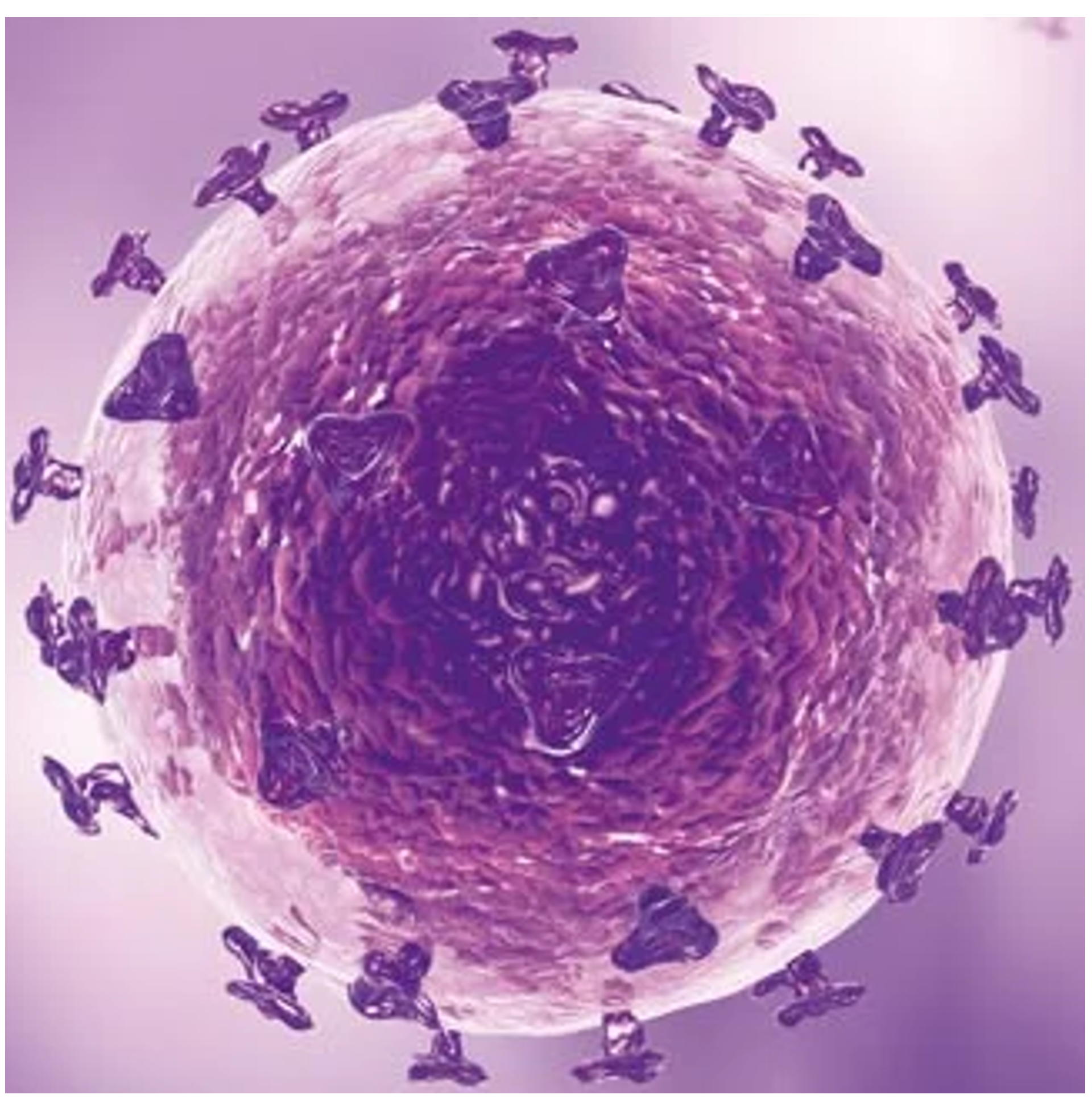 Human herpesvirus 7