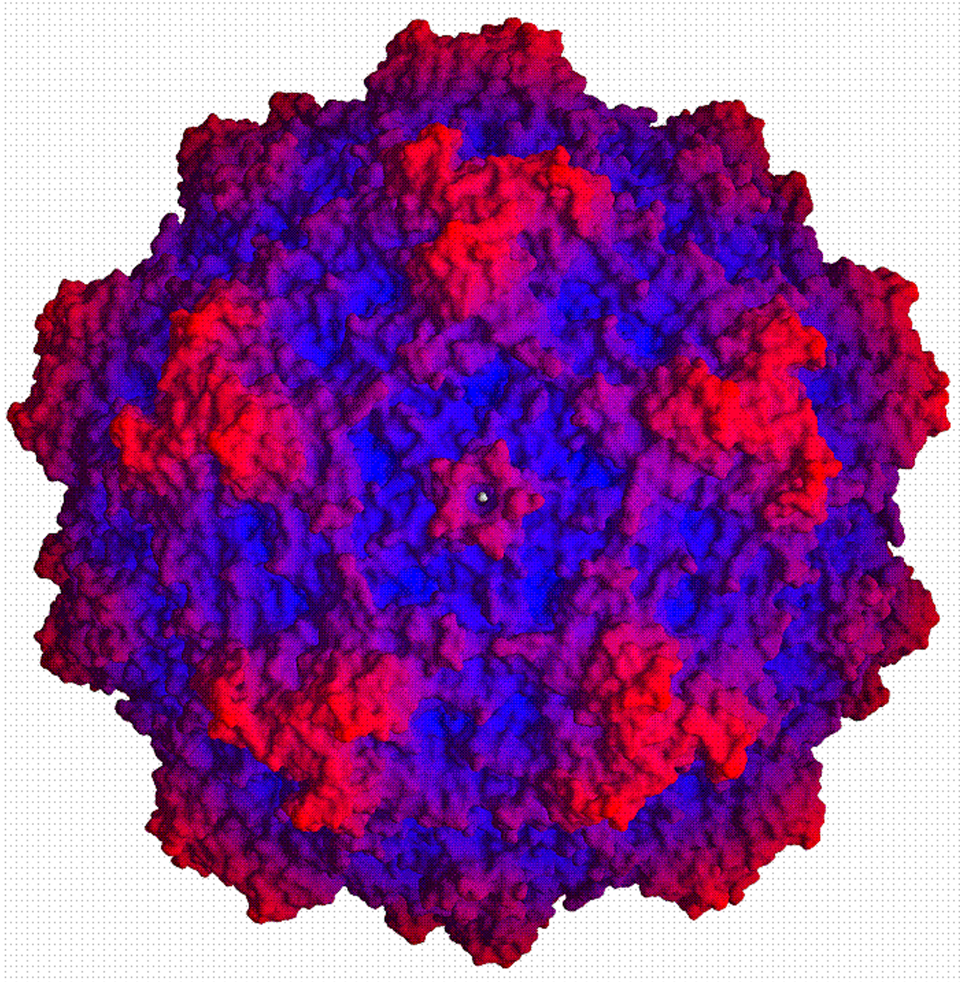 Xenotropic murine leukemia virus-related virus