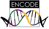 ENCODE: Encyclopedia of DNA Elements