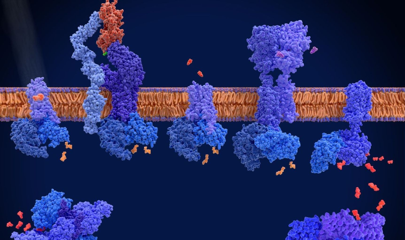 Medical Research