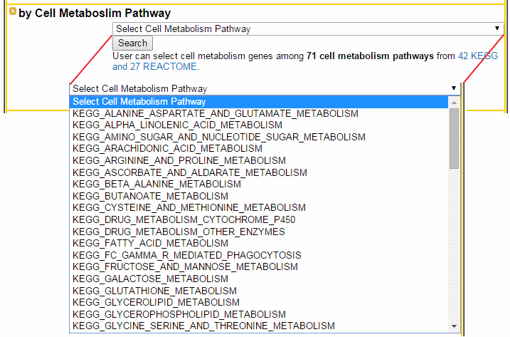 Cell Metabolism Pathway Search