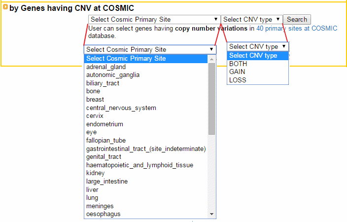 Copy Number Variation Related Gene Search