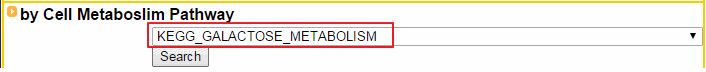 Cell Metabolism Pathway Search