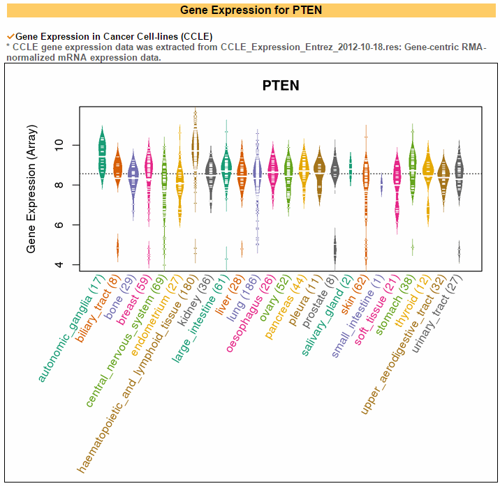 20 CCLE cancer types