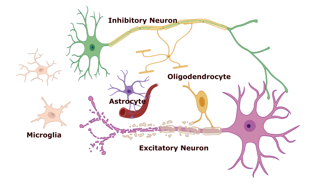 CELL MAP